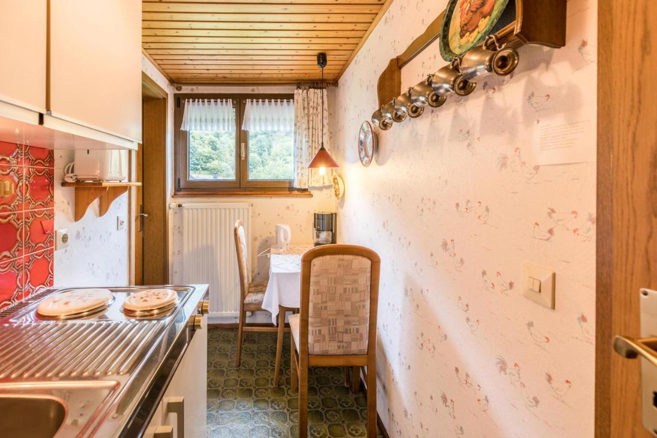 Am Wehrastrand App 4 Todtmoos Exteriér fotografie