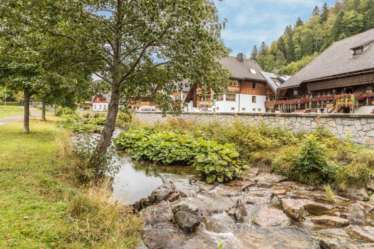 Am Wehrastrand App 4 Todtmoos Exteriér fotografie